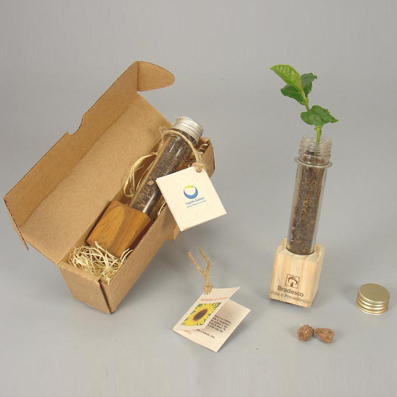 semente kit ecológico