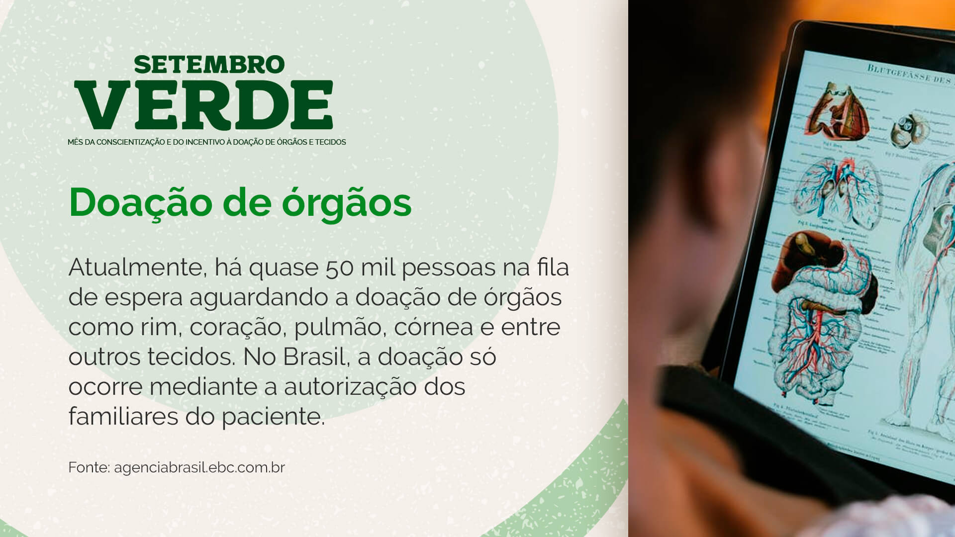 Template de TV Corporativa para ações de Setembro Verde nas Empresas